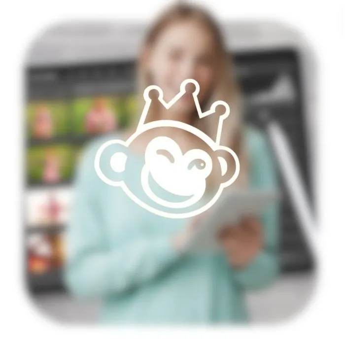 اکانت پریمیوم PicMonkey - ویرایش تصاویر با پیک مانکی | قانونی و قابل تمدید - Image 2